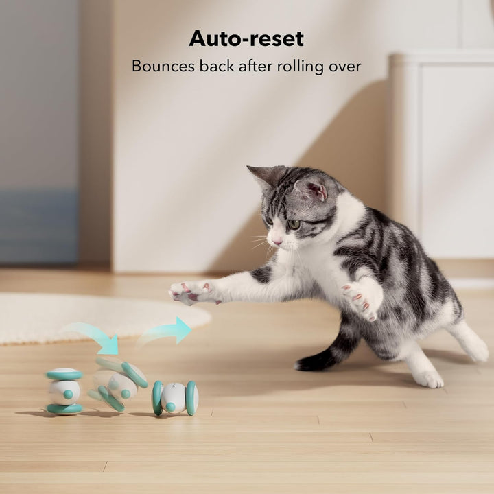 Furenvast - PETLIBRO 2024 Interactive Cat Toy: USB Rechargea