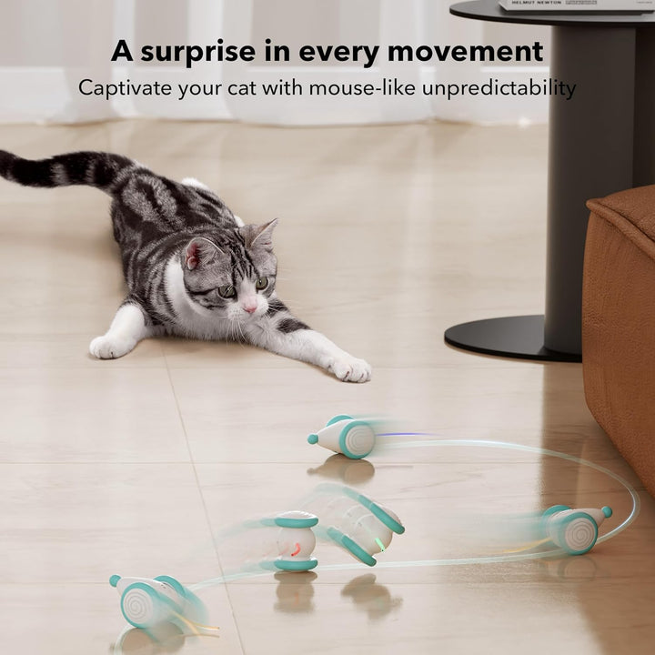 Furenvast - PETLIBRO 2024 Interactive Cat Toy: USB Rechargea