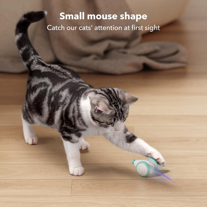Furenvast - PETLIBRO 2024 Interactive Cat Toy: USB Rechargea