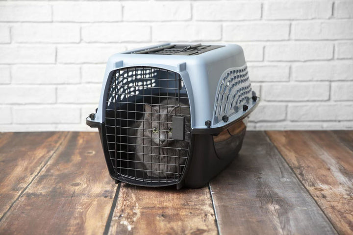Furenvast - Petmate Two-Door Small Pet Carrier – Top & Front