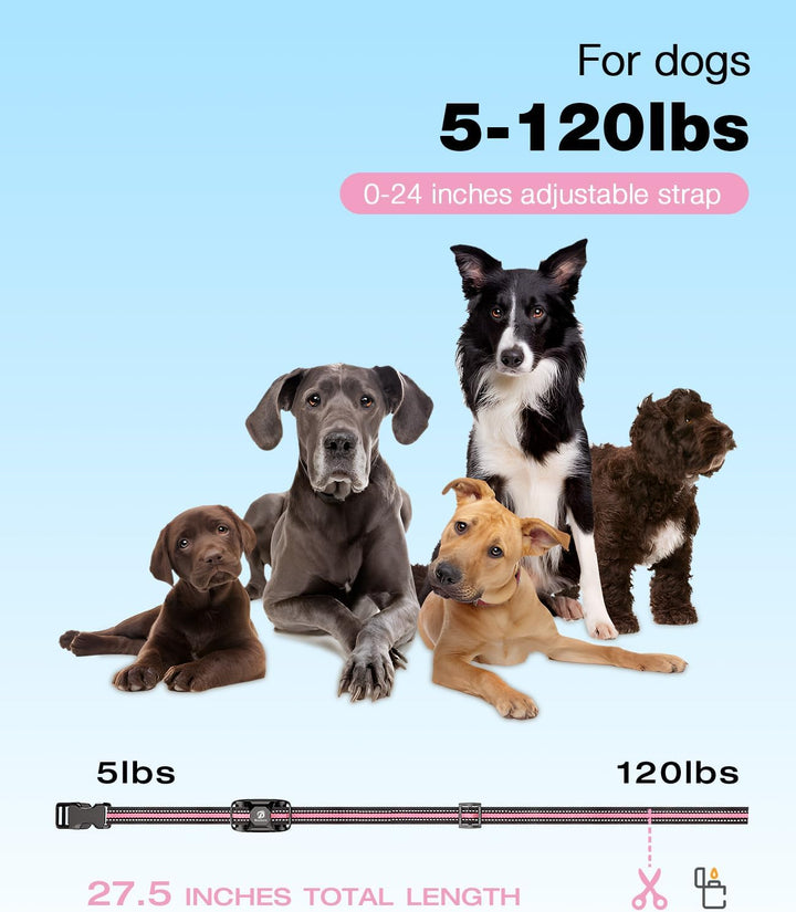 Furenvast - Bousnic Premium Dog Training Collar with Remote 