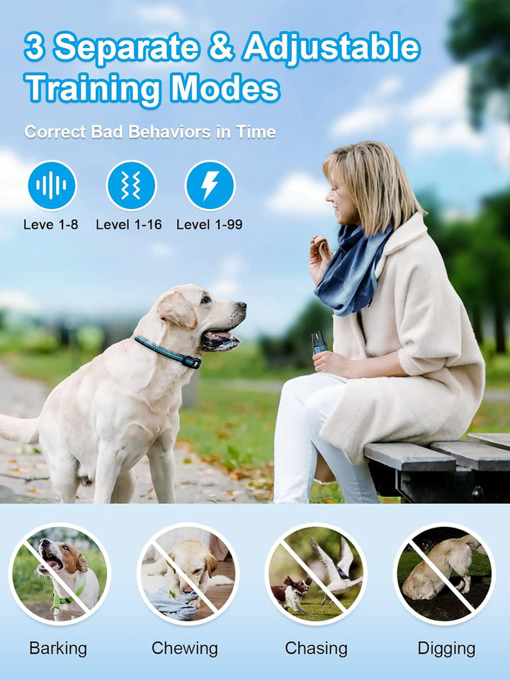 Furenvast - BOUSNIC Dual-Dog Training Collar System: Waterpr