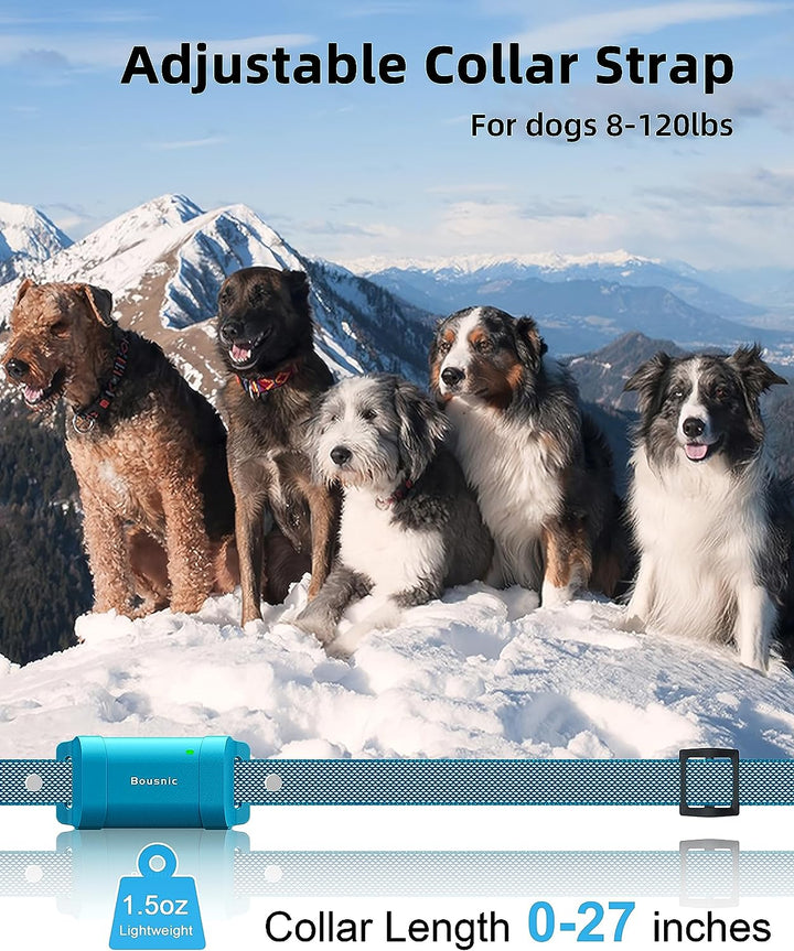Furenvast - Bousnic Professional Dog Training Collar with Re