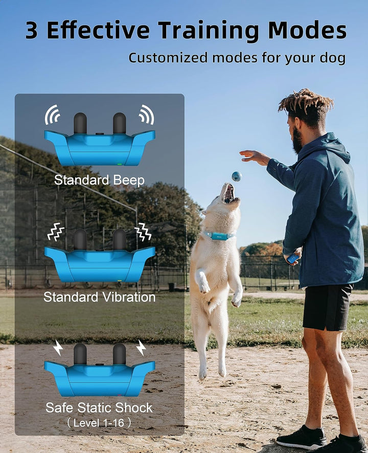 Furenvast - Bousnic Professional Dog Training Collar with Re